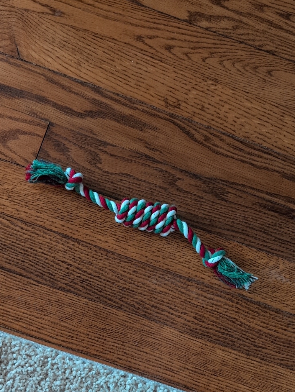 Small Rope Doy Toy